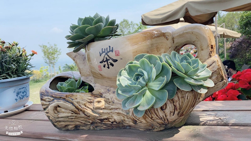 5eaa95566a4a6.jpg 0.jpg