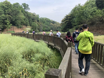 5eaa9d9f27366.png image.png